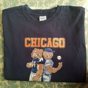Chicago Cubs/Bears Graphic Tee